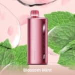 pod descartavel Elfbar TI7000 FunkyRepublic Blossom Mint