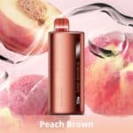 pod descartavel Elfbar TI7000 FunkyRepublic Peach Brown