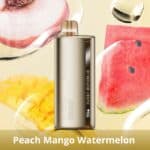 pod descartavel Elfbar TI7000 FunkyRepublic Peach Mango Watermelon