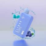 elfbar bc 10000 puffs blueberry gami goma de mirtilos