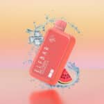 elfbar bc 10000 puffs watermelon ice melancia gelada