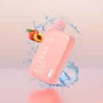 elfbar bc 10000 puffs peach ice pessego gelado