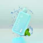elfbar bc 10000 puffs miami mint hortela gelada