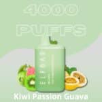 Pod Descartavel Elfbar bc 4000 Kiwi Passion Guava