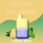 Pod Descartavel Elfbar bc 4000 Lemon Mint
