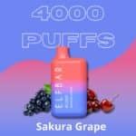 Pod Descartavel Elfbar bc 4000 Sakura Grape