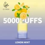pod descartavel elfbar bc5000 lemon mint