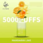 pod descartavel elfbar bc5000 mandarin lime