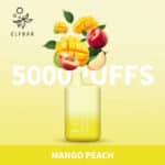 pod descartavel elfbar bc5000 mango peach
