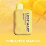 pod descartavel elfbar lost mary os5000 Pineapple Mango