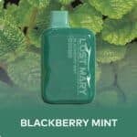 pod descartavel elfbar lost mary os5000 Blackberry Mint