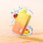 elfbar bc10000 puffs double mango