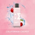 pod descartavel elfbar ew9000 refil California Cherry