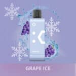 pod descartavel elfbar ew9000 refil Grape Ice