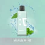 pod descartavel elfbar ew9000 refil Miami Mint