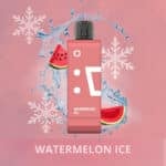 pod descartavel elfbar ew9000 refil Watermelon Ice