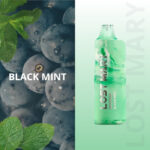 pod descartavel elfbar lost mary mo5000 BLACK MINT