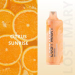 pod descartavel elfbar lost mary mo5000 CITRUS SUNRISE