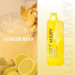 pod descartavel elfbar lost mary mo5000 GINGER BEER