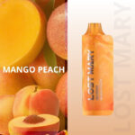 pod descartavel elfbar lost mary mo5000 Mango Peach