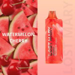 od descartavel elfbar lost mary mo5000 Watermelon Cherry