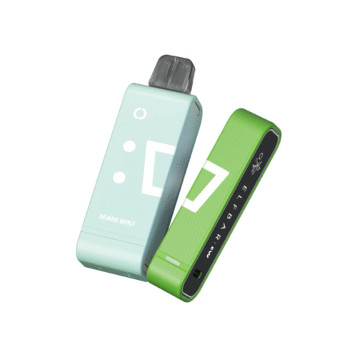 Kit EW9000 com 1 Bateria e 1 Refil de 9000 Puffs